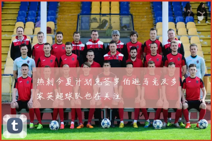 热刺今夏计划免签罗伯逊马竞及多家英超球队也在关注