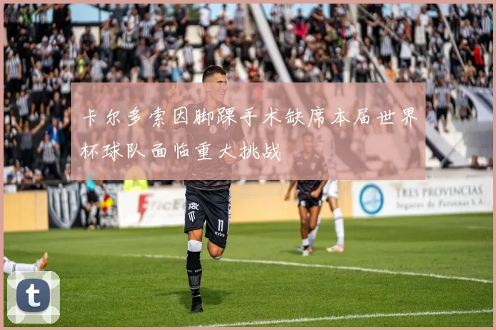 卡尔多索因脚踝手术缺席本届世界杯球队面临重大挑战